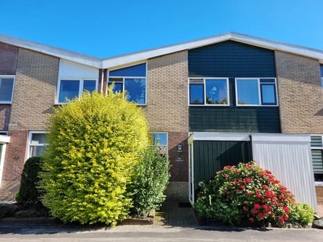 undefined main image