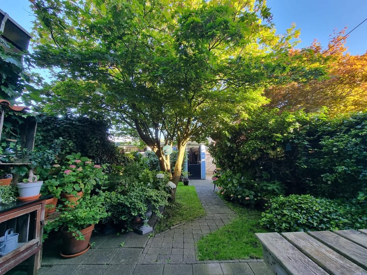 Photo 30 of Dennenlaan 66