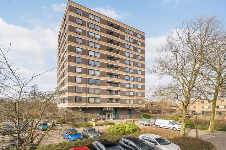 Foto 33 van Boerhaavestraat 433