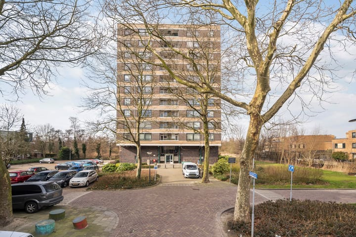 Foto 34 van Boerhaavestraat 433