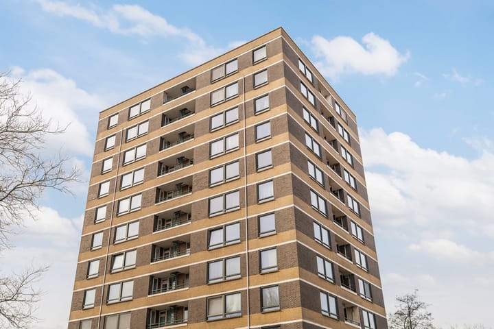 Foto 35 van Boerhaavestraat 433