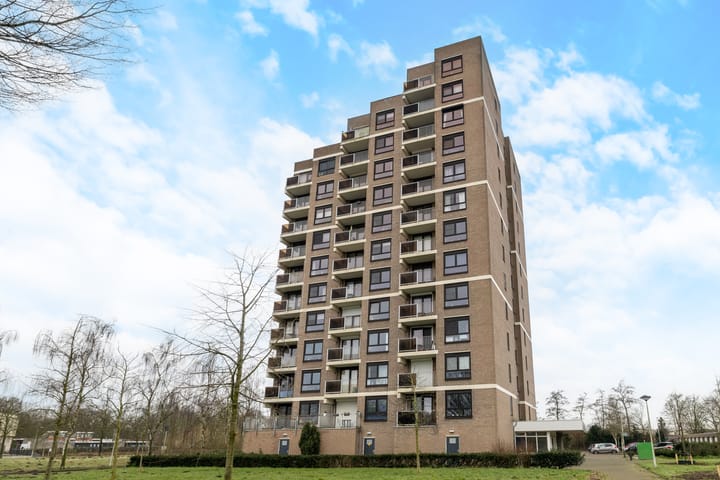 Foto 31 van Lodewijkdonk 46