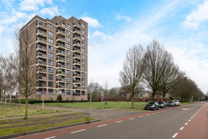 Foto 32 van Lodewijkdonk 46