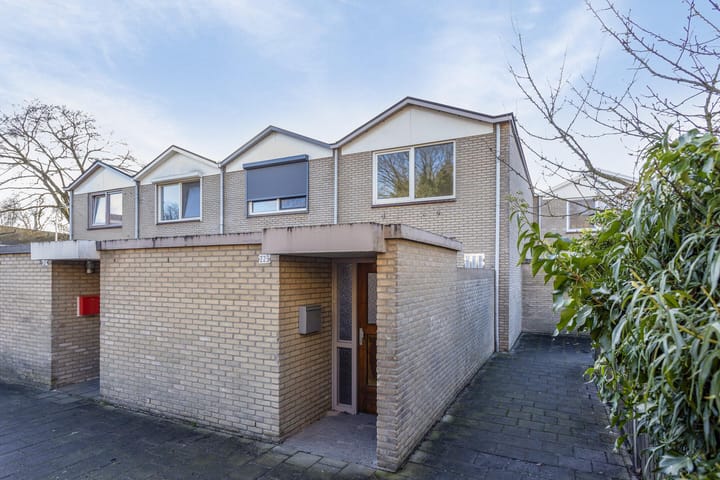 Foto 1 van Sibeliusstraat 223