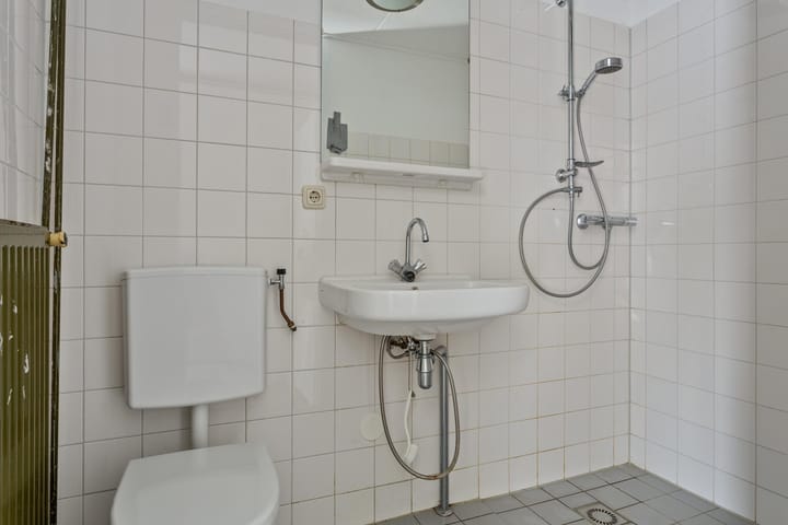 Foto 24 van Sibeliusstraat 223