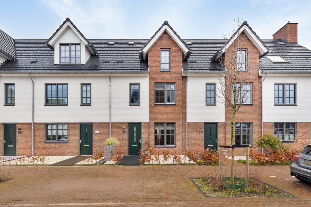 Foto 1 van Honingbij 25