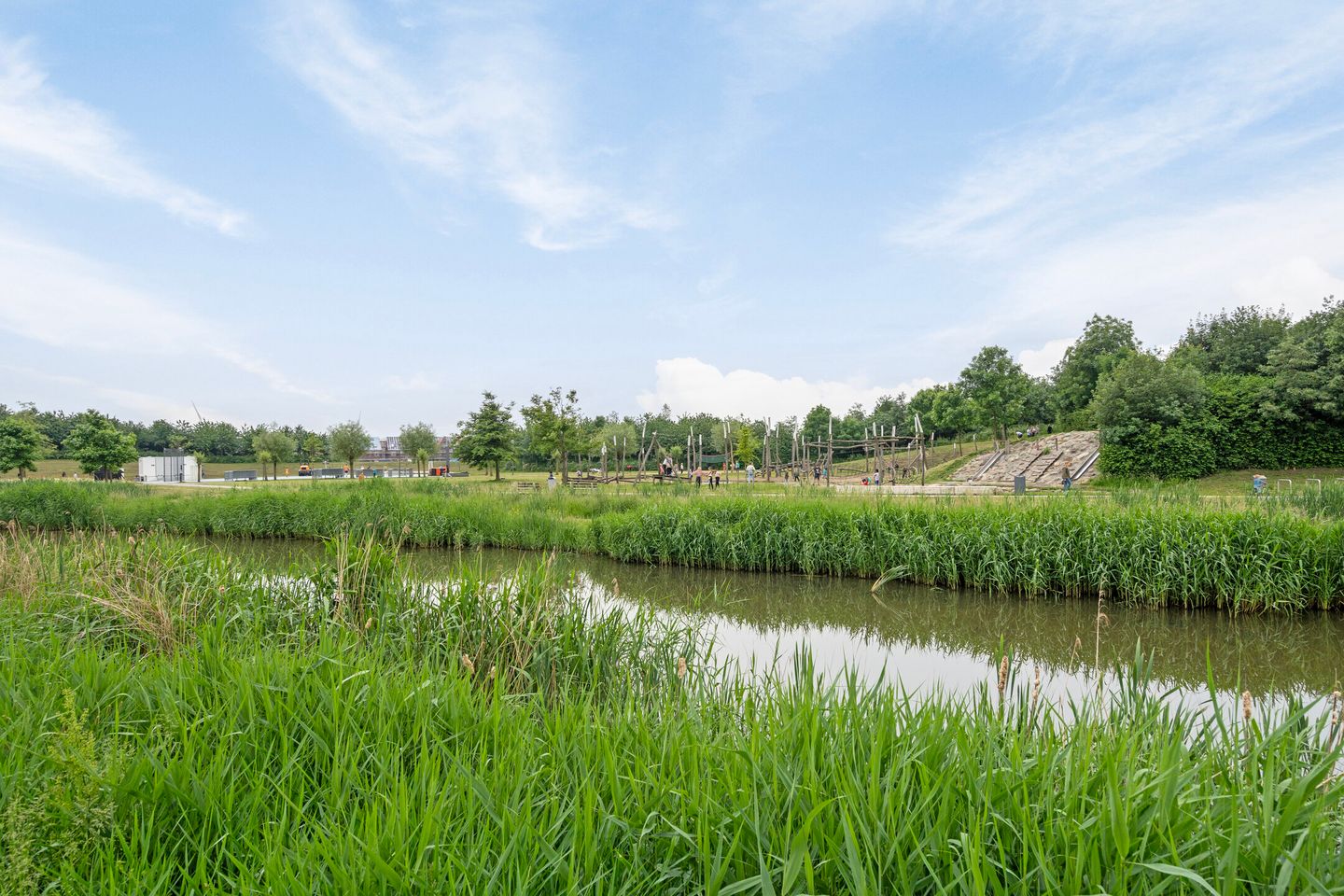 Foto 5 van Honingbij 25