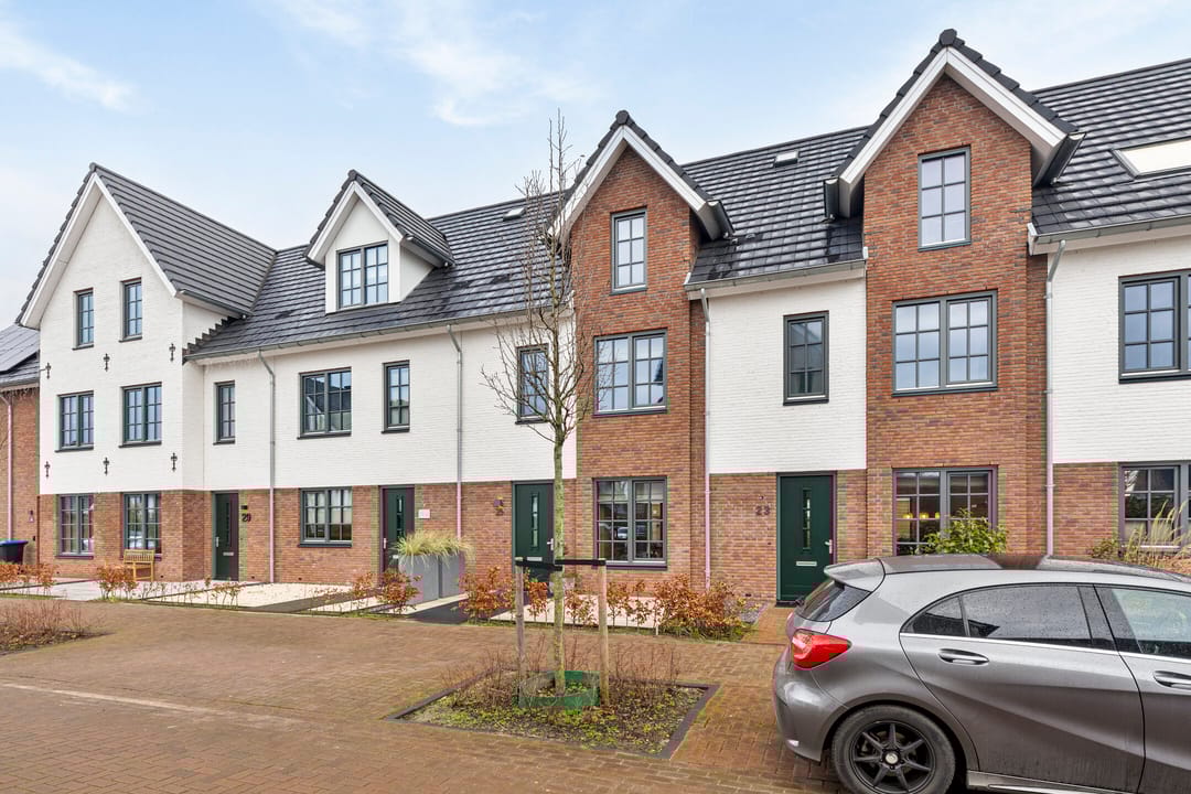 Foto 7 van Honingbij 25