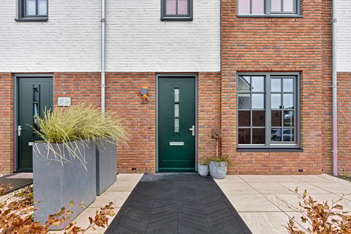 Photo 8 of Honingbij 25