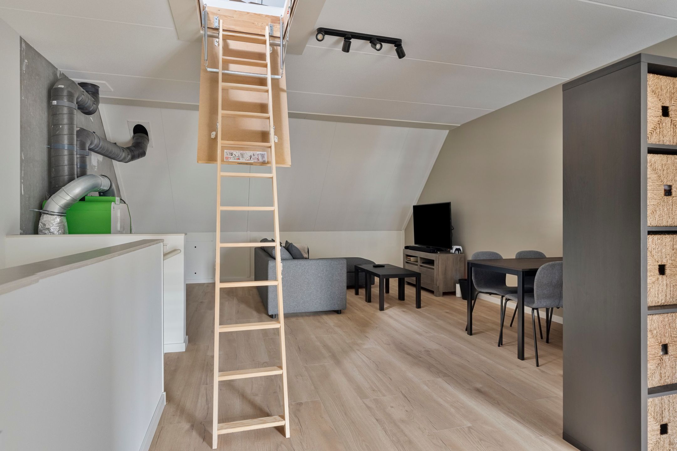 Foto 27 van Honingbij 25