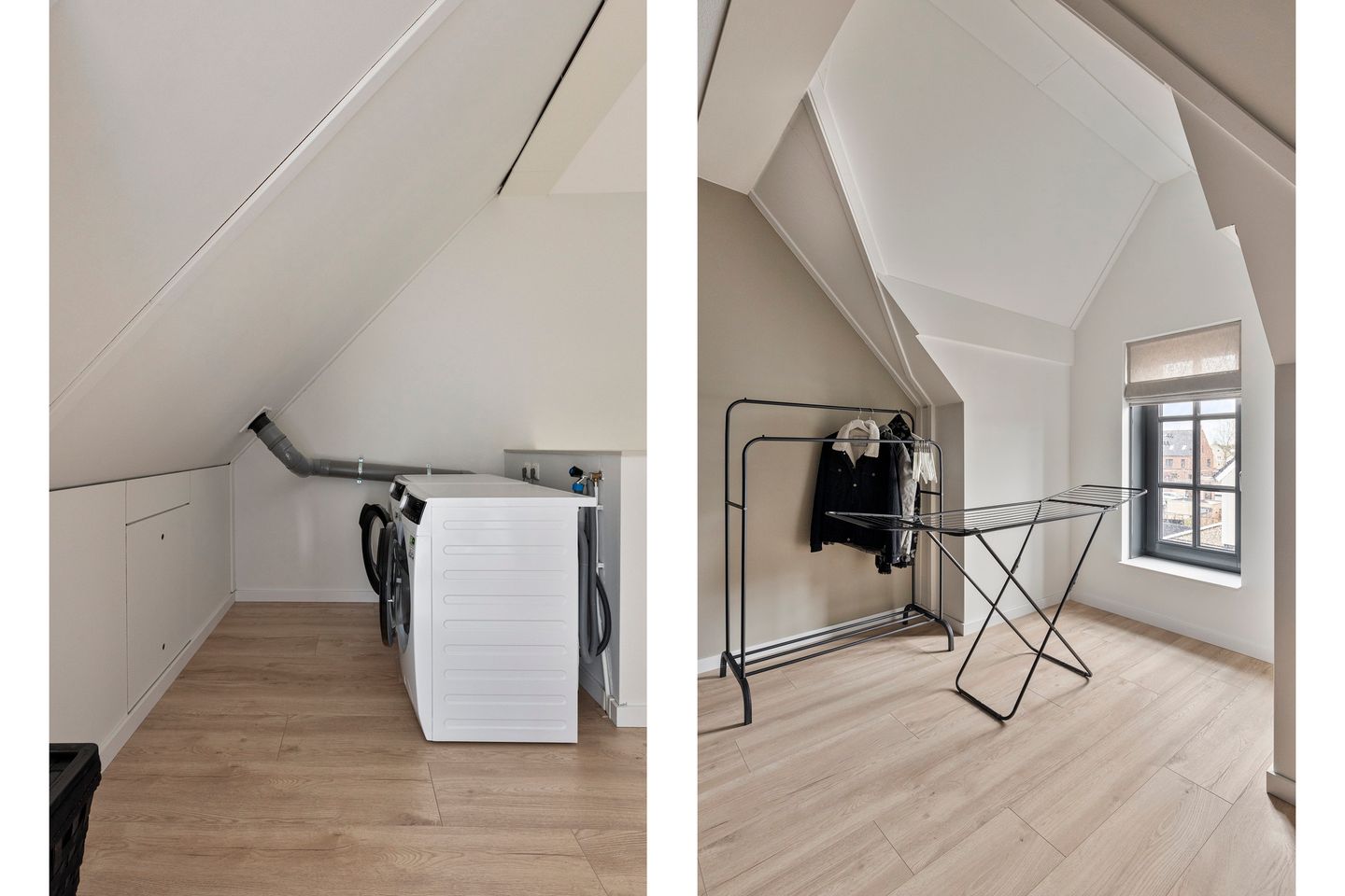 Foto 29 van Honingbij 25