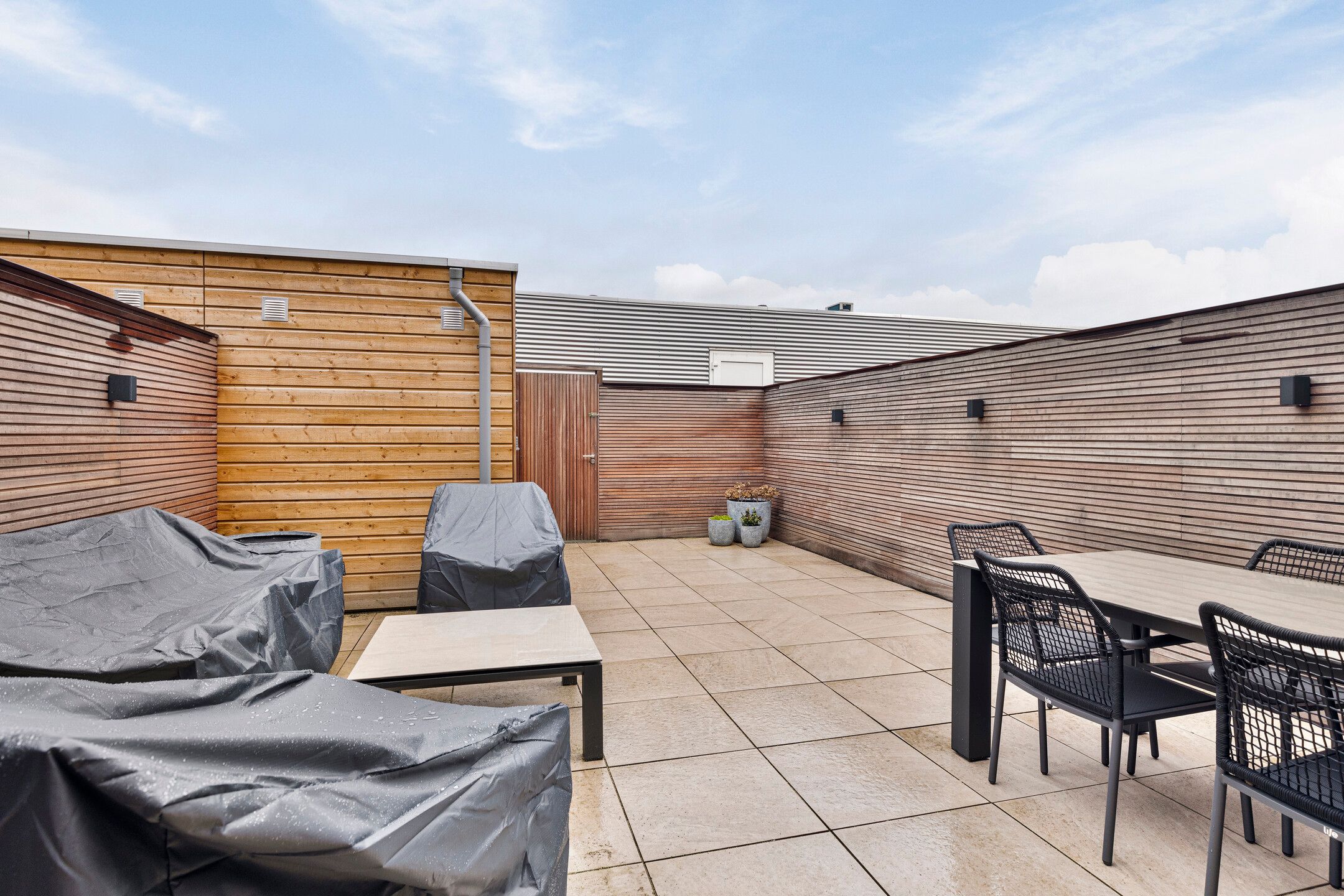 Foto 30 van Honingbij 25