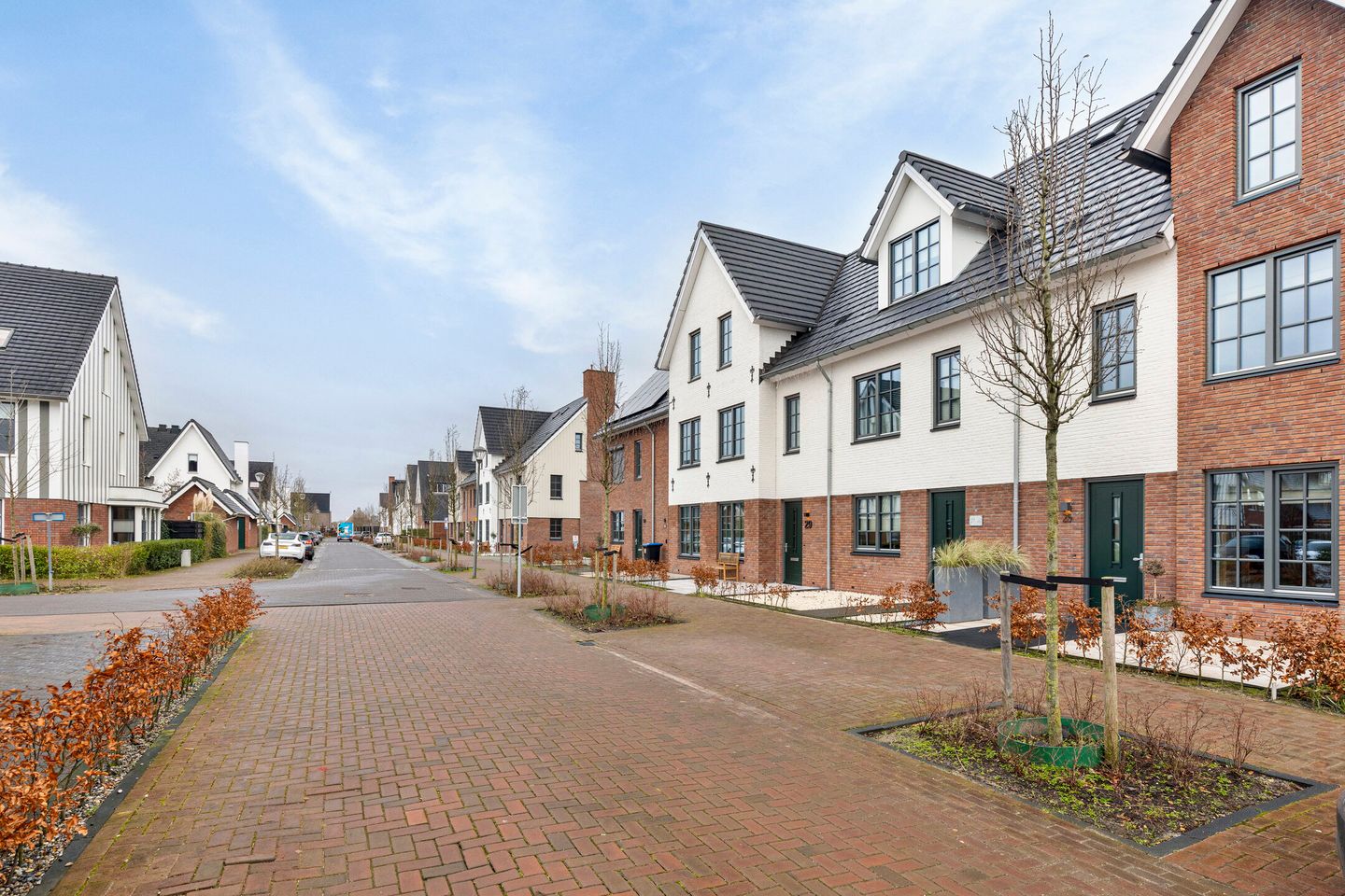 Foto 34 van Honingbij 25