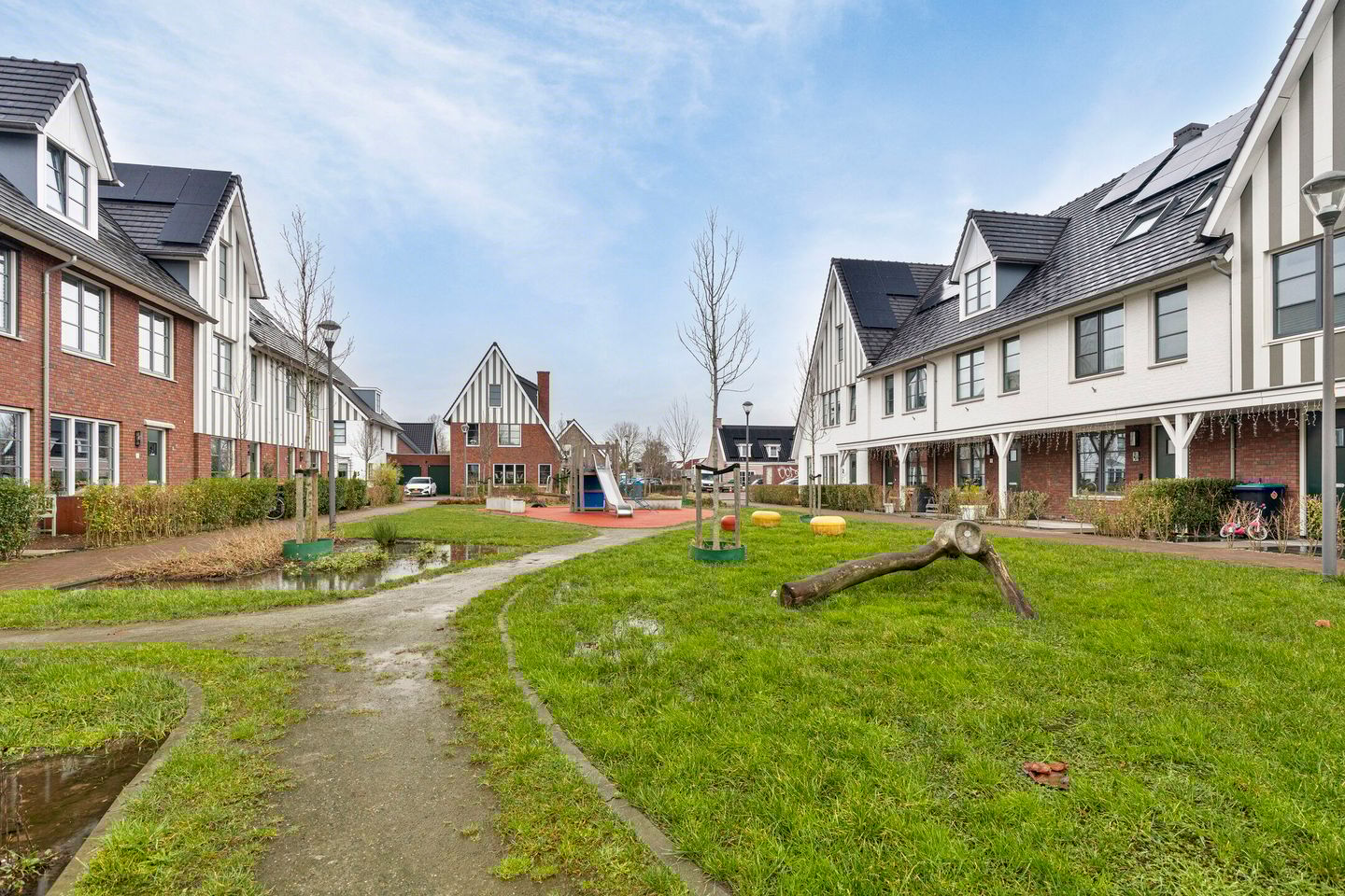 Foto 35 van Honingbij 25