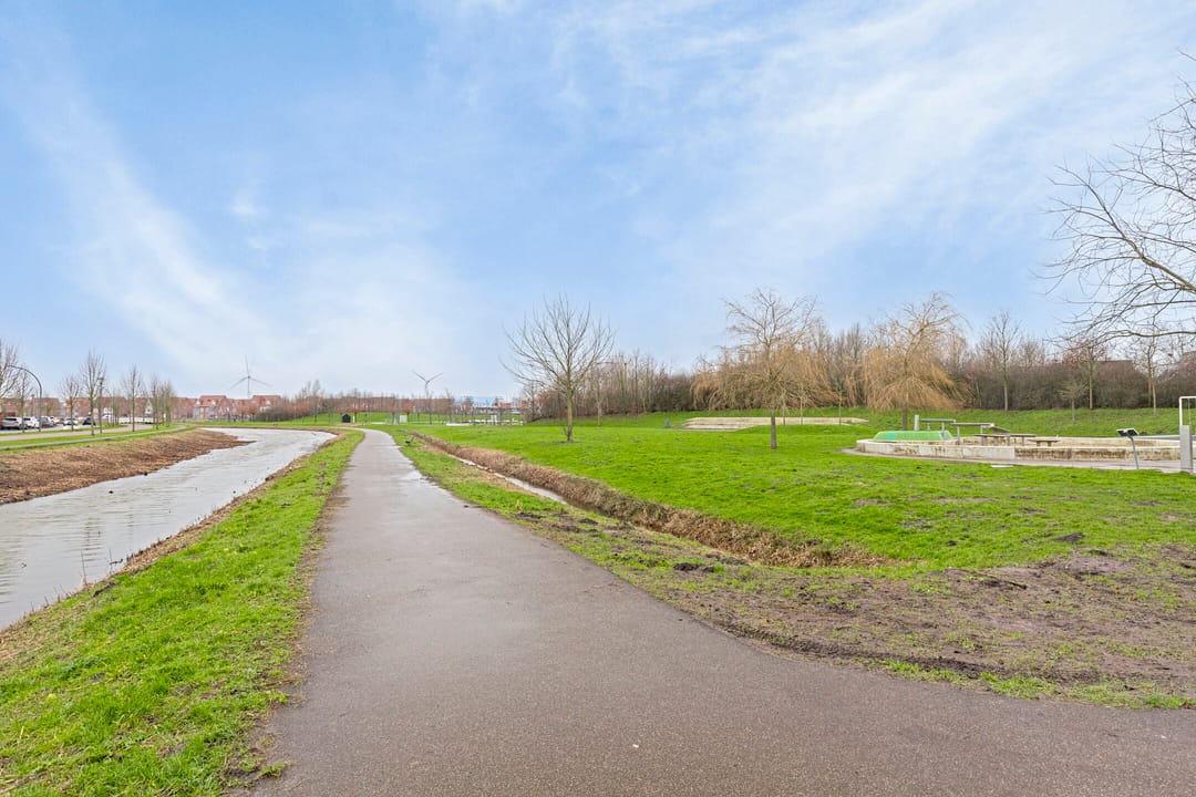 Foto 37 van Honingbij 25