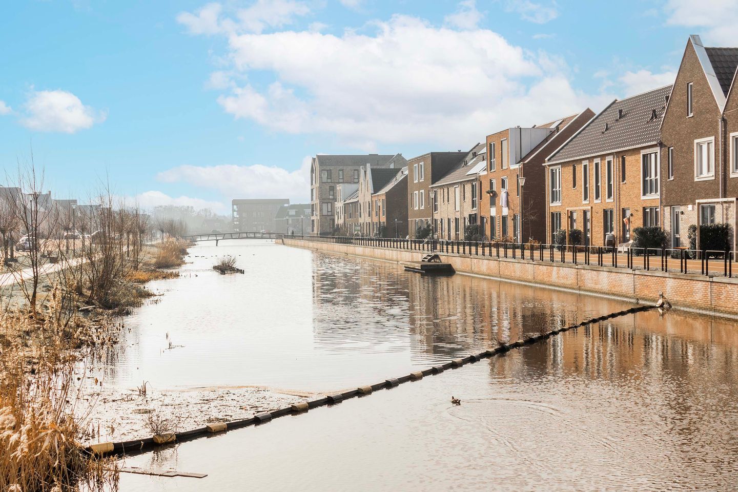 Foto 40 van Liefkenshoek 19