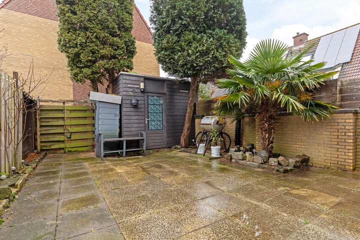 Foto 32 van Willemsbos 31