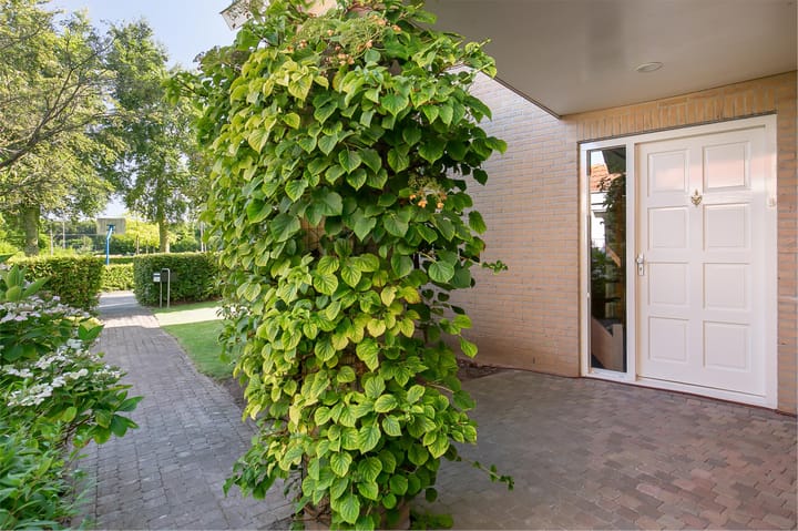 Foto 4 van Wiebengapad 7