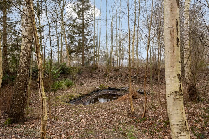 Foto 91 van Esweg 23