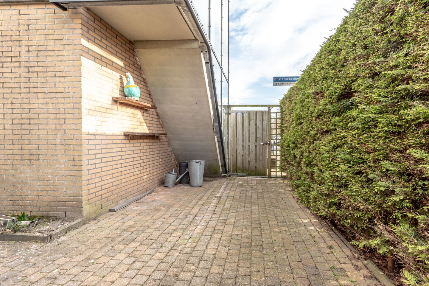 Foto 20 van Oosterschelde 113