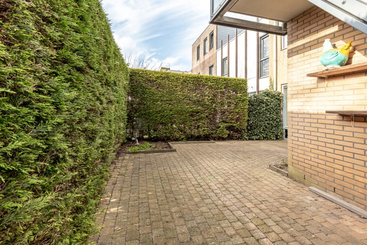 Foto 21 van Oosterschelde 113