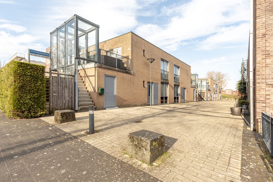 Foto 22 van Oosterschelde 113