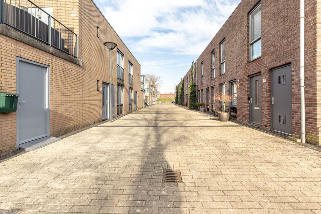 Foto 23 van Oosterschelde 113