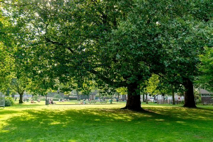 Foto 23 van Willem Frederik Hermansstraat 63