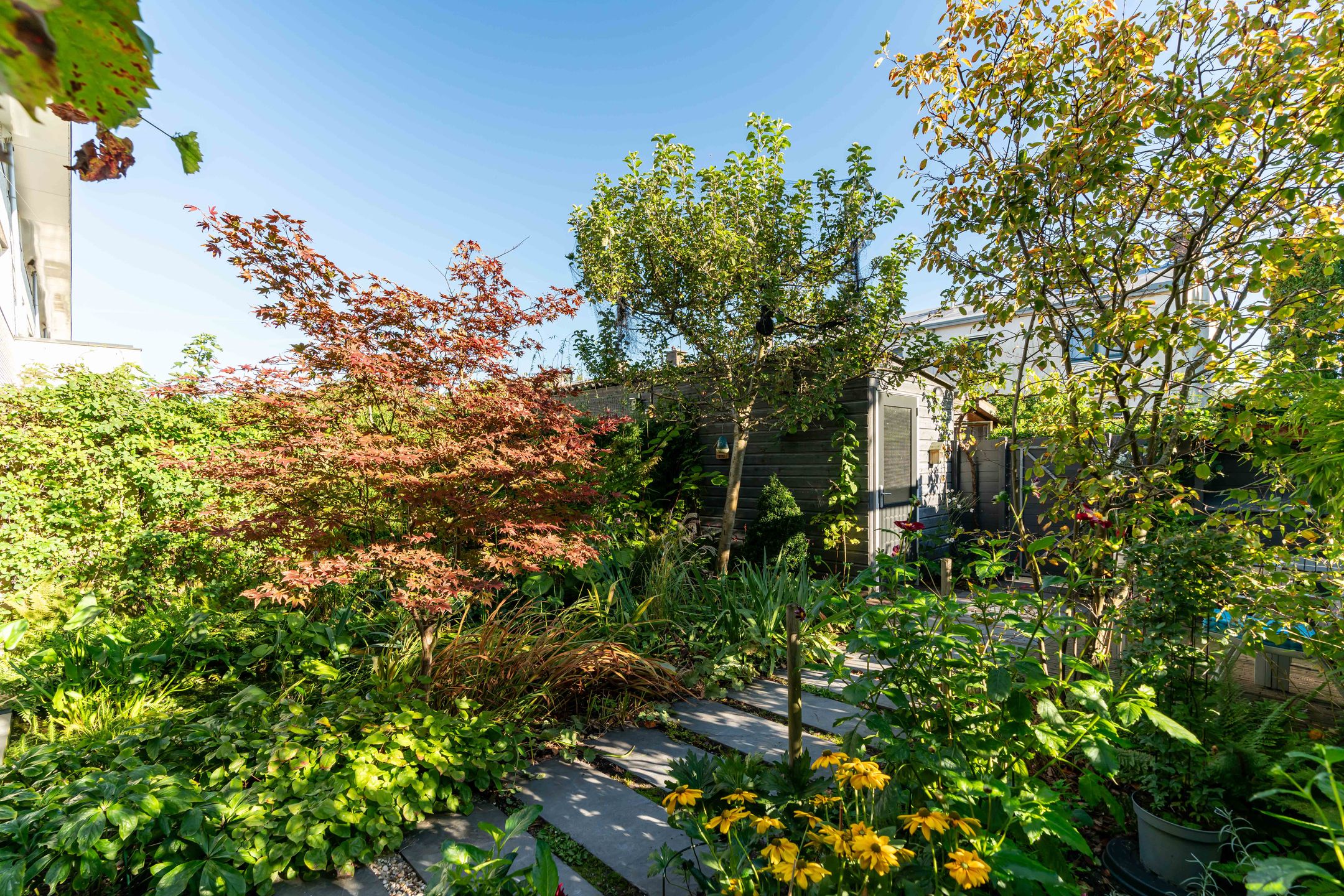 Foto 21 van Elzenlaan 88