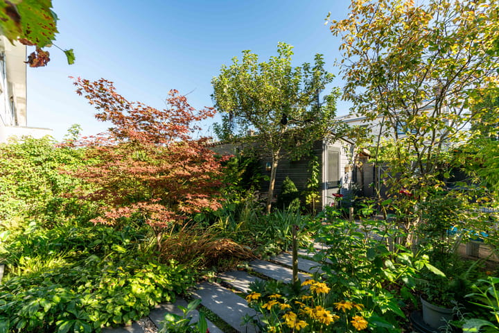 Foto 21 van Elzenlaan 88