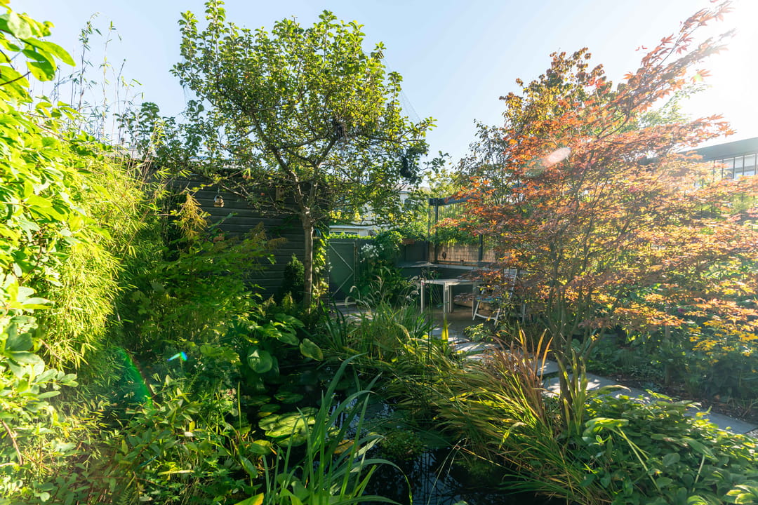 Foto 23 van Elzenlaan 88