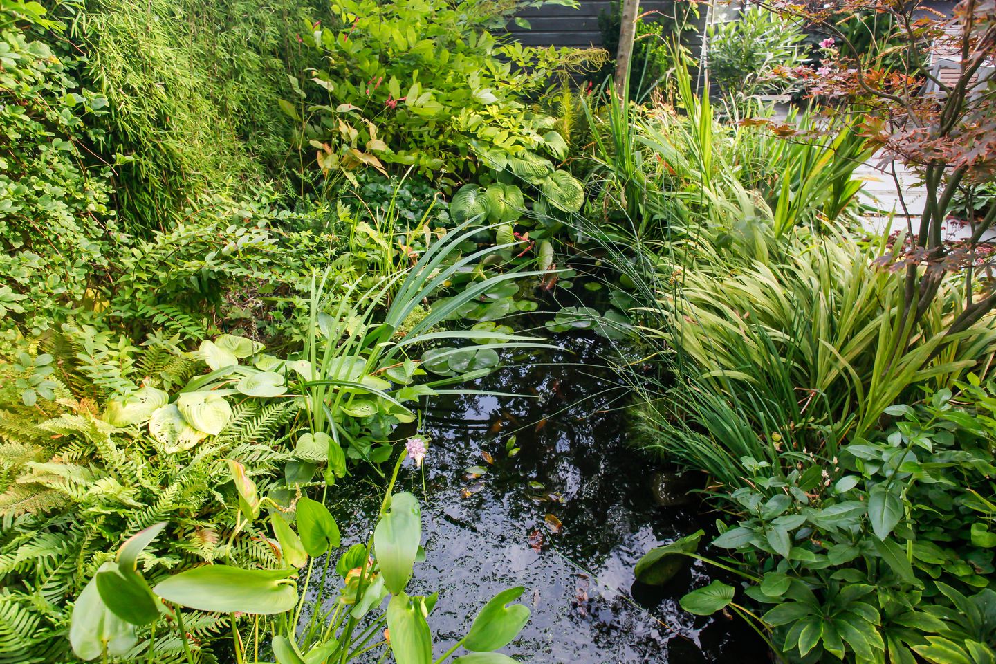 Foto 55 van Elzenlaan 88