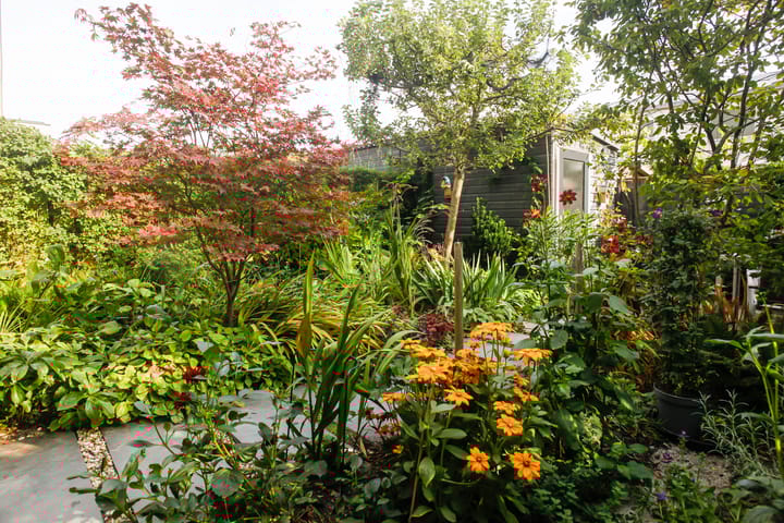 Foto 56 van Elzenlaan 88