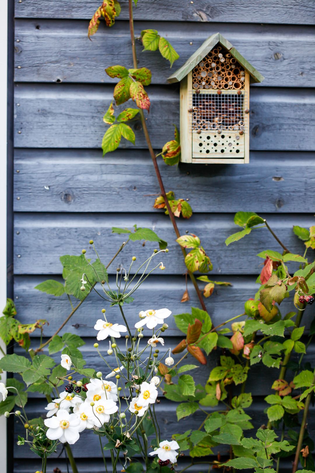 Foto 61 van Elzenlaan 88