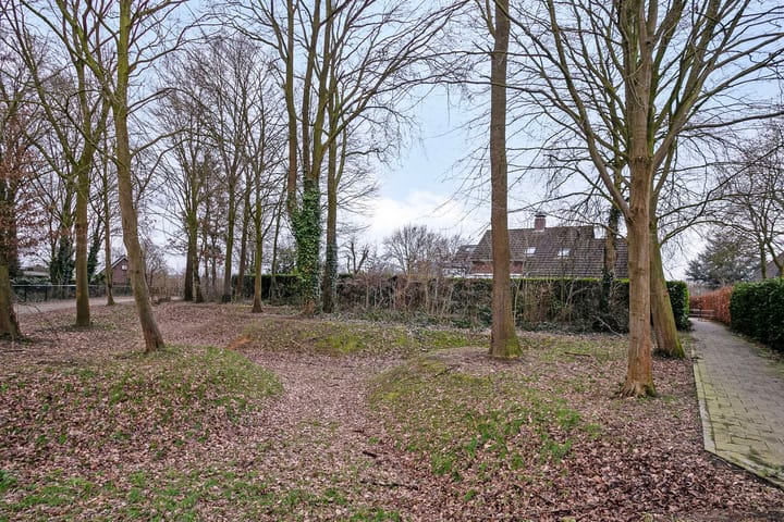 Photo 50 of Vlasakker 34