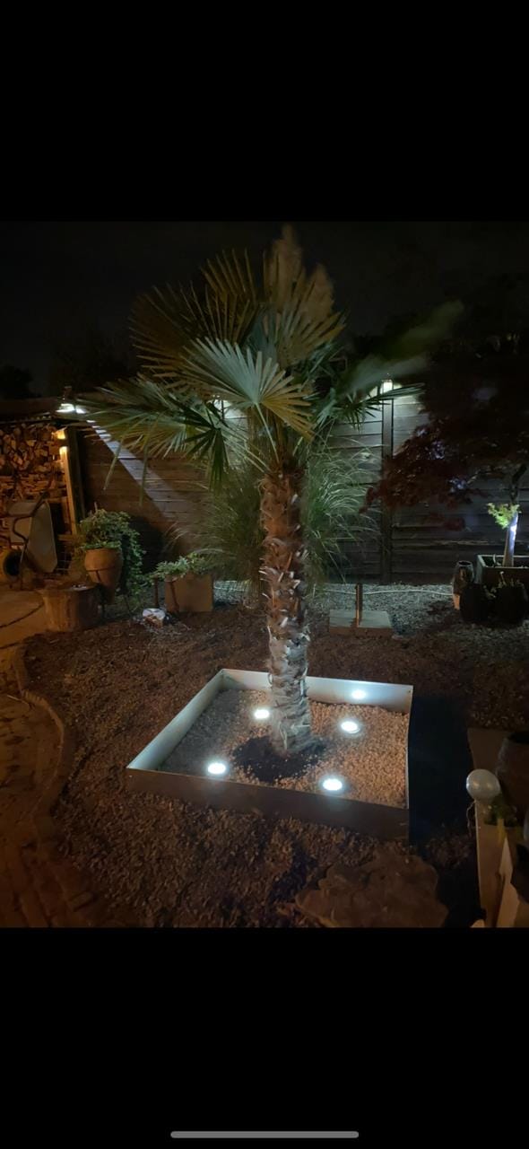 Foto 56 van Snijders Weer 4