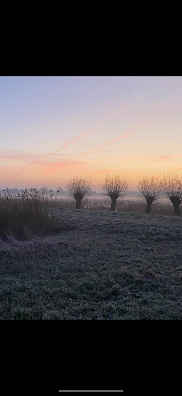 Foto 57 van Snijders Weer 4