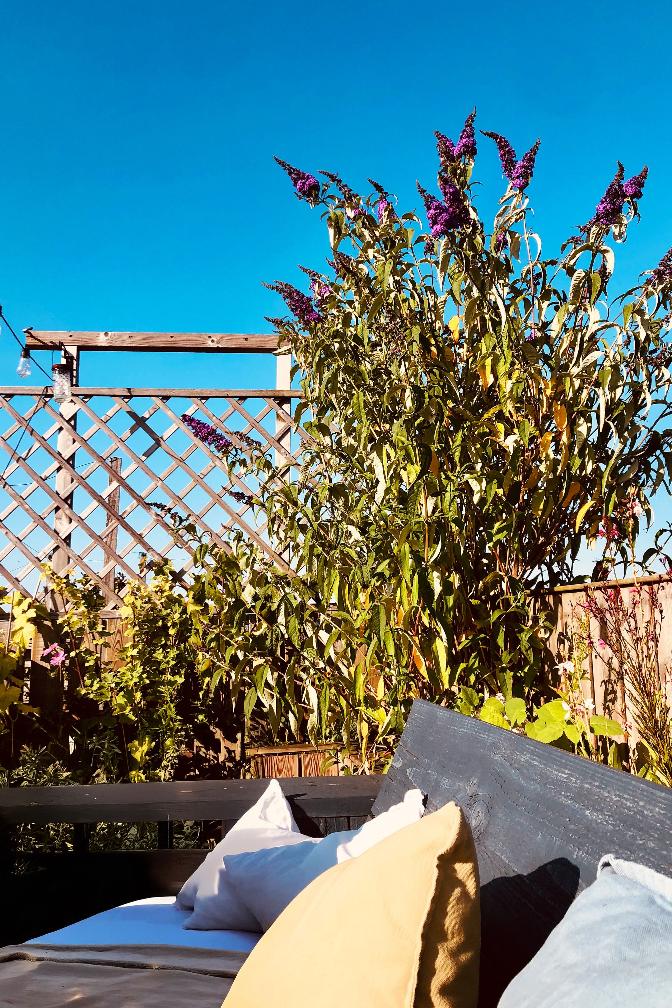 Foto 36 van Van Brakelstraat 13-BS