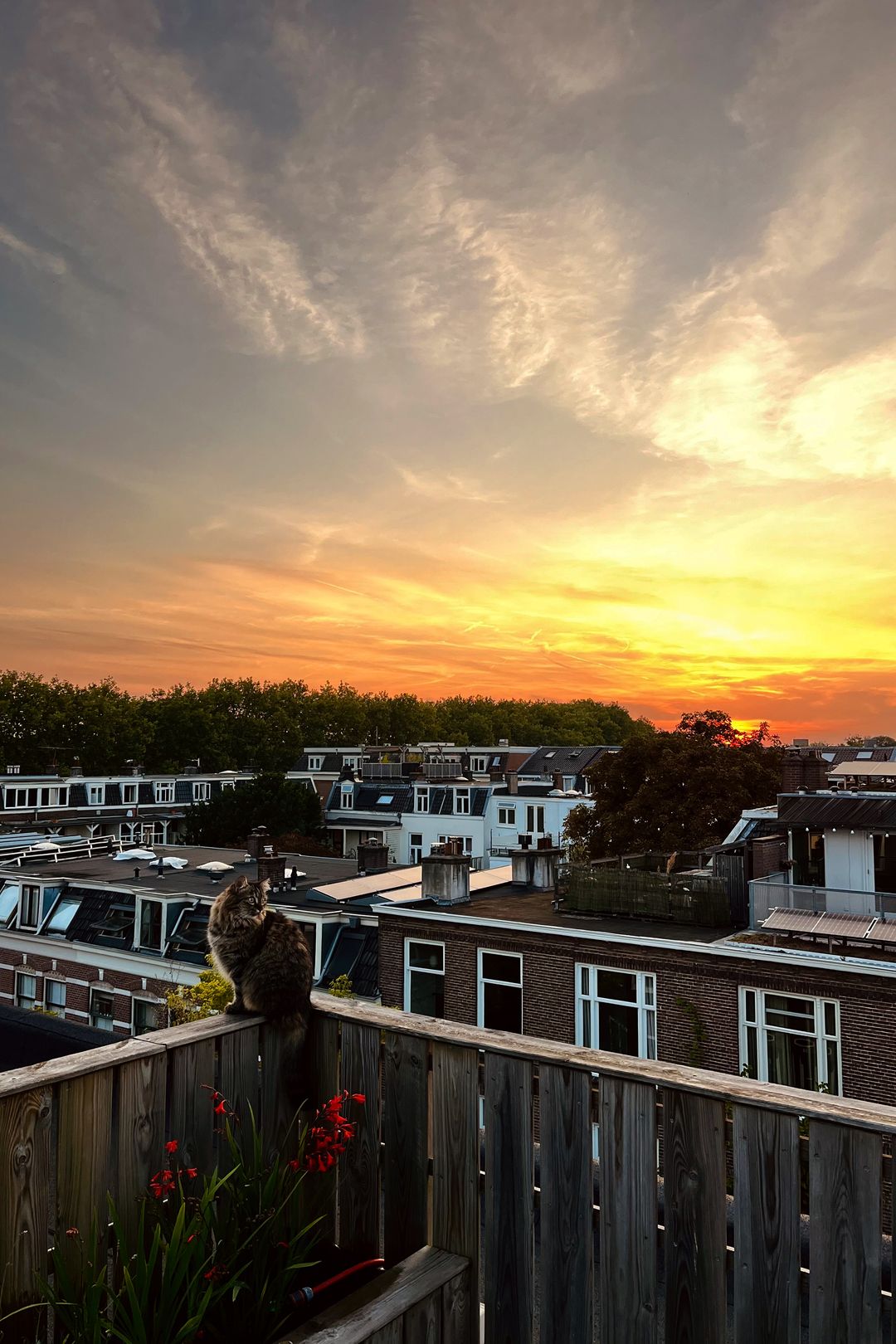 Foto 37 van Van Brakelstraat 13-BS