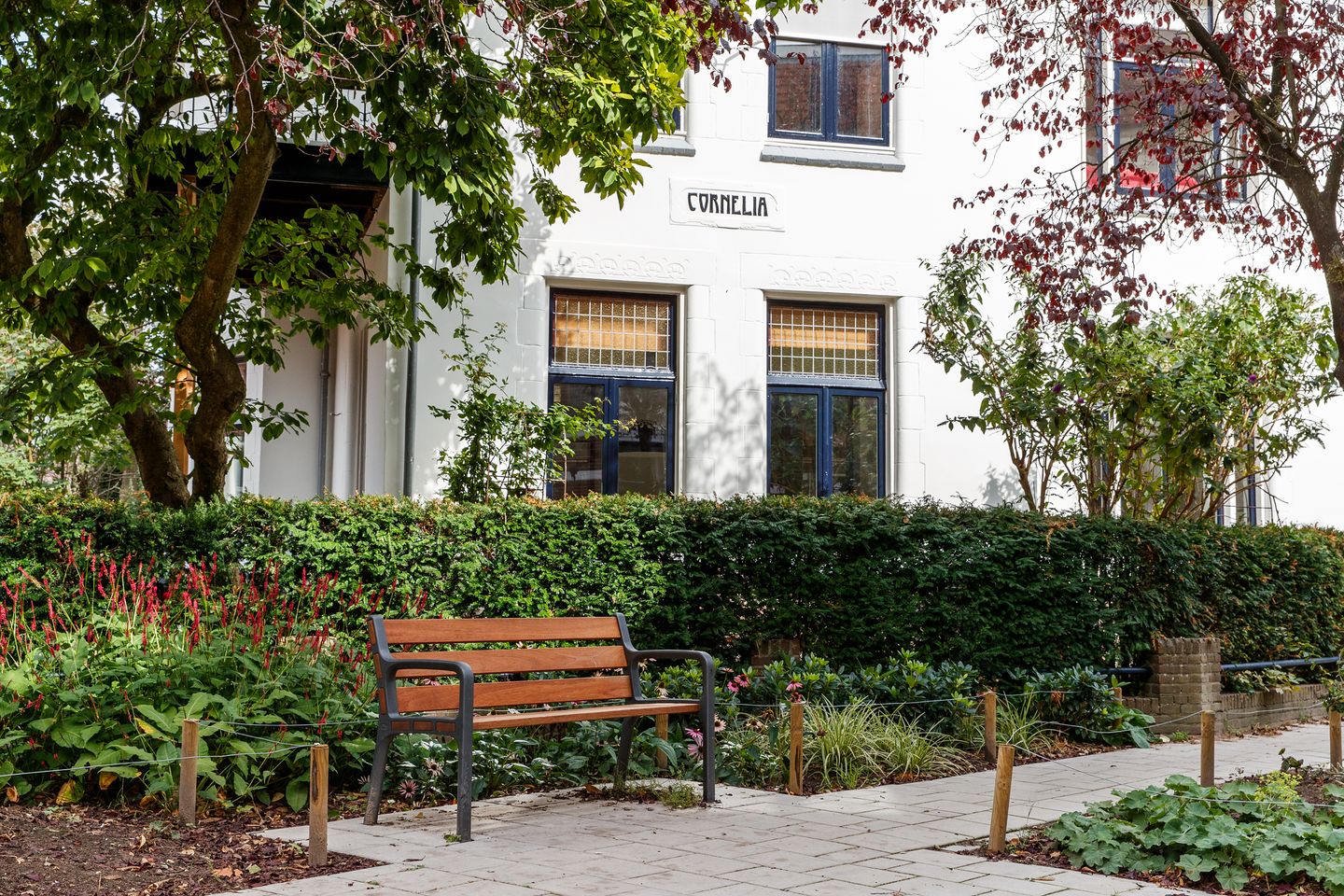 Foto 40 van Van Brakelstraat 13-BS