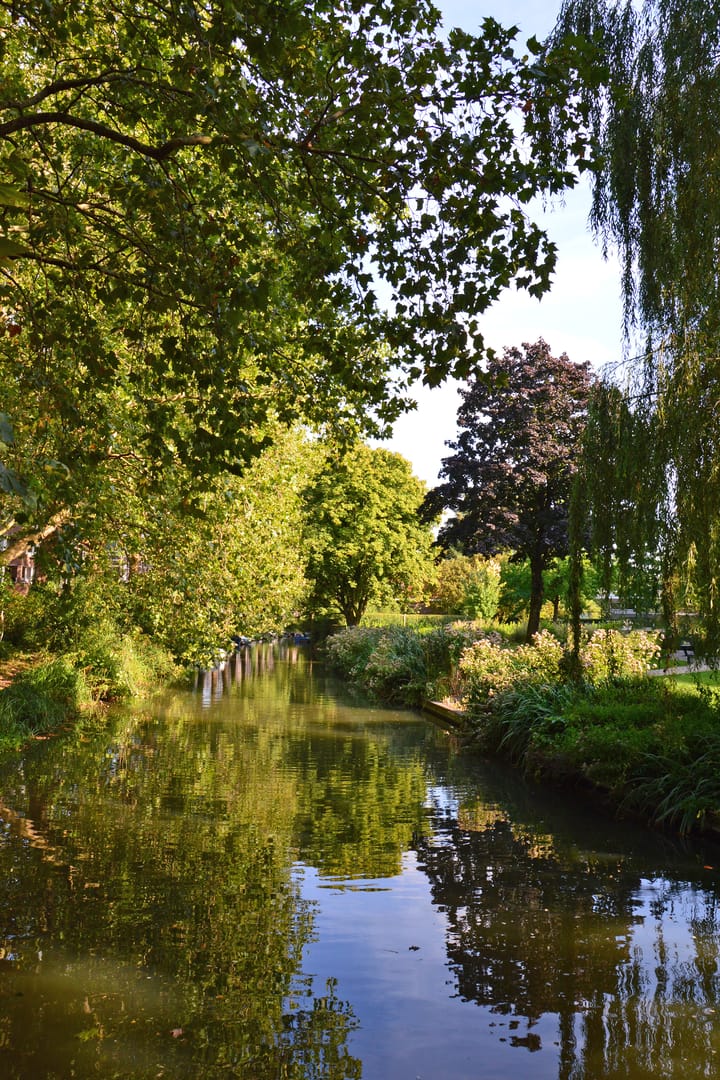 Foto 41 van Van Brakelstraat 13-BS