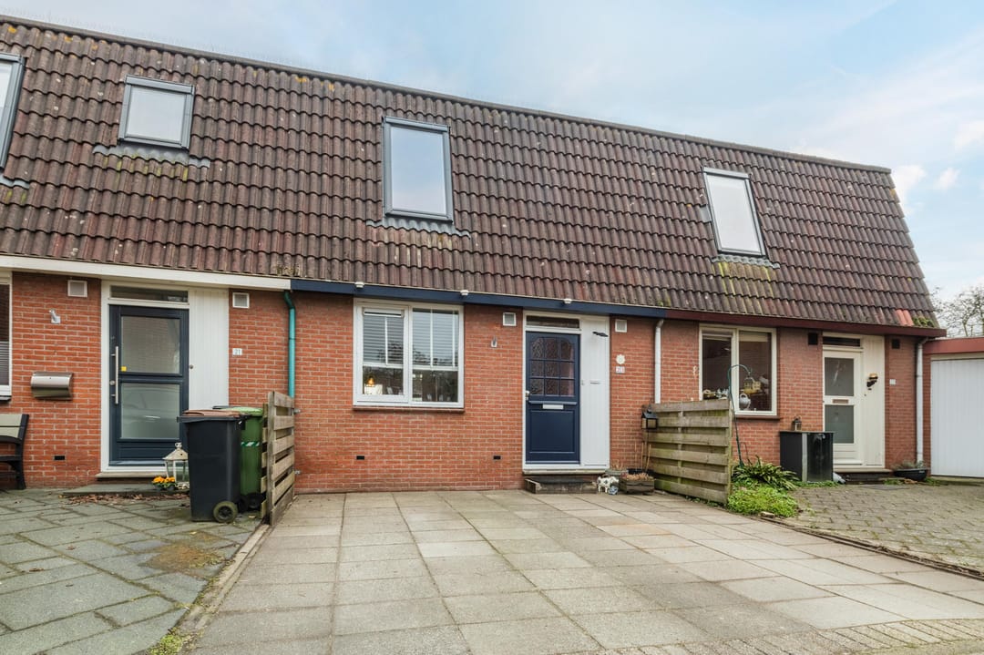 Foto 2 van Pluimgras 23