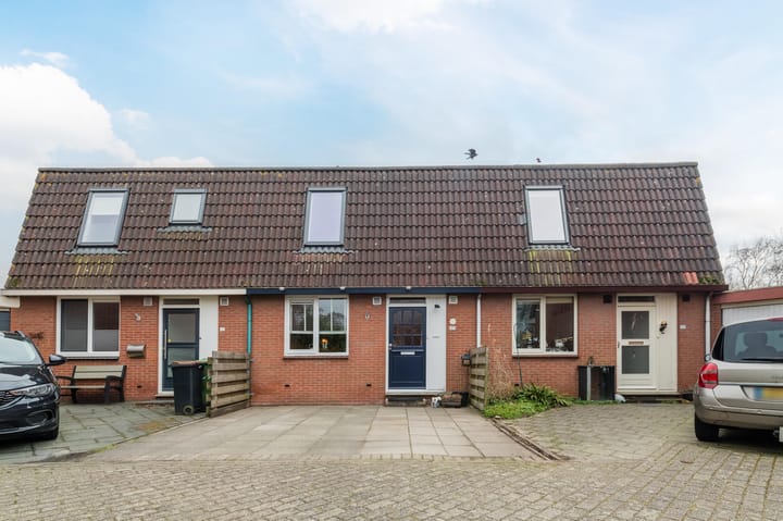 Foto 3 van Pluimgras 23