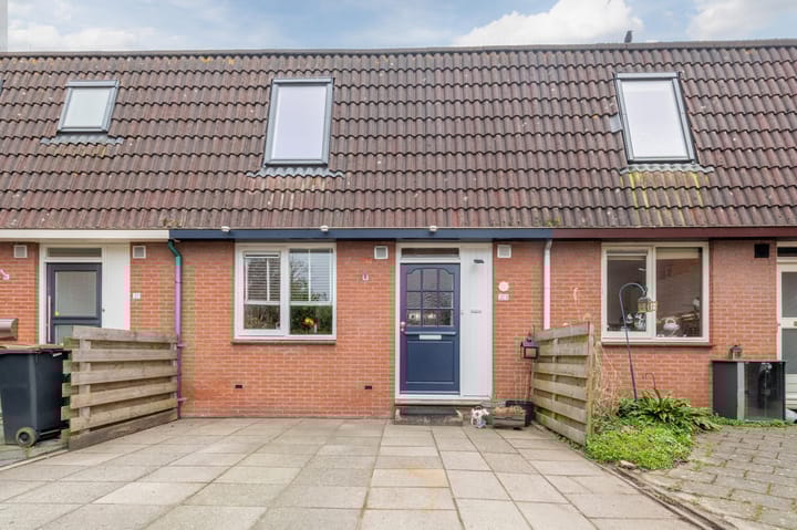 Foto 4 van Pluimgras 23