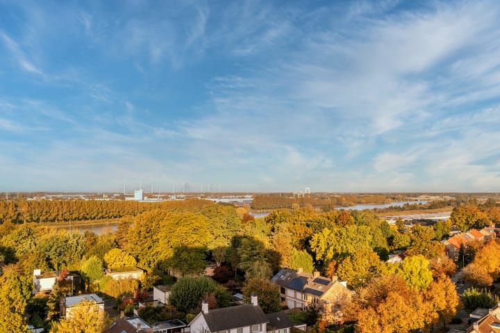 Foto 8 van Hogeschoorweg 196