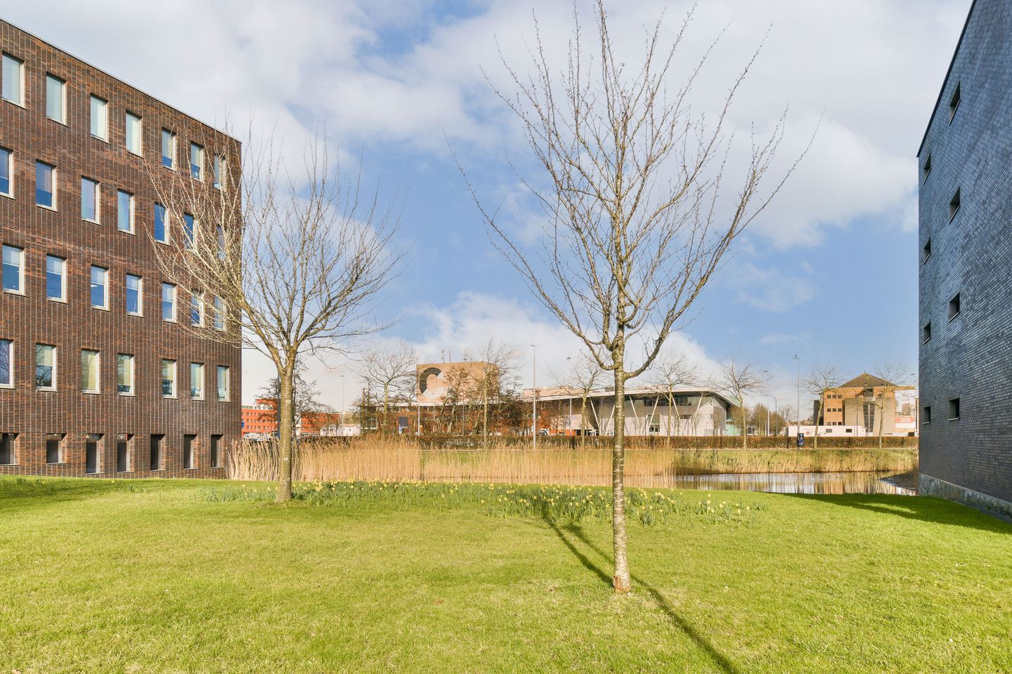 Foto 20 van De Fruittuinen 7