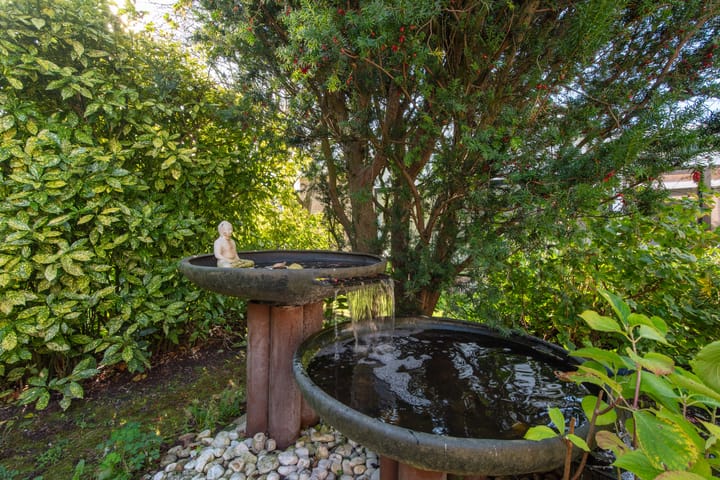 Foto 69 van Bladstraat 3