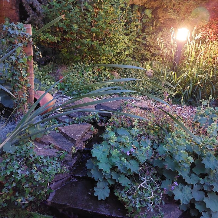 Photo 27 of Glenn Millerhof 36