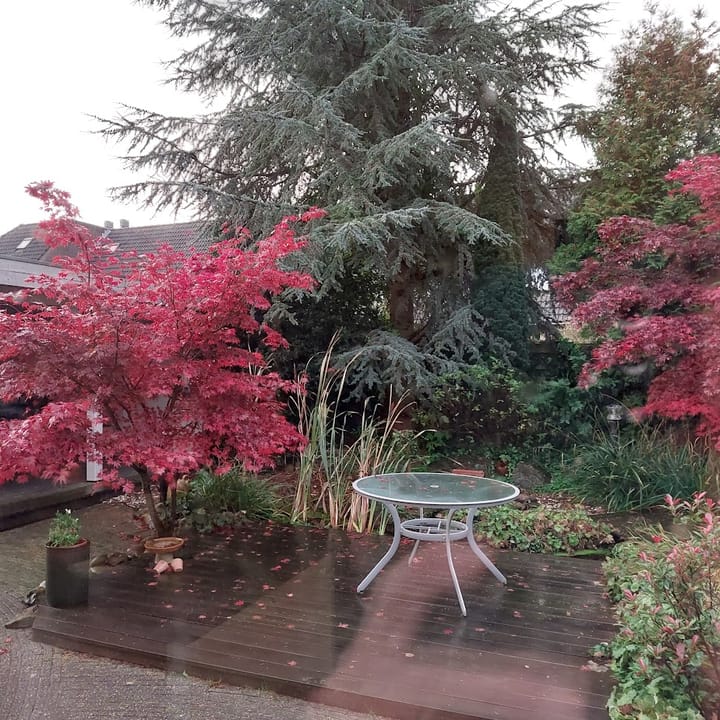 Photo 25 of Glenn Millerhof 36