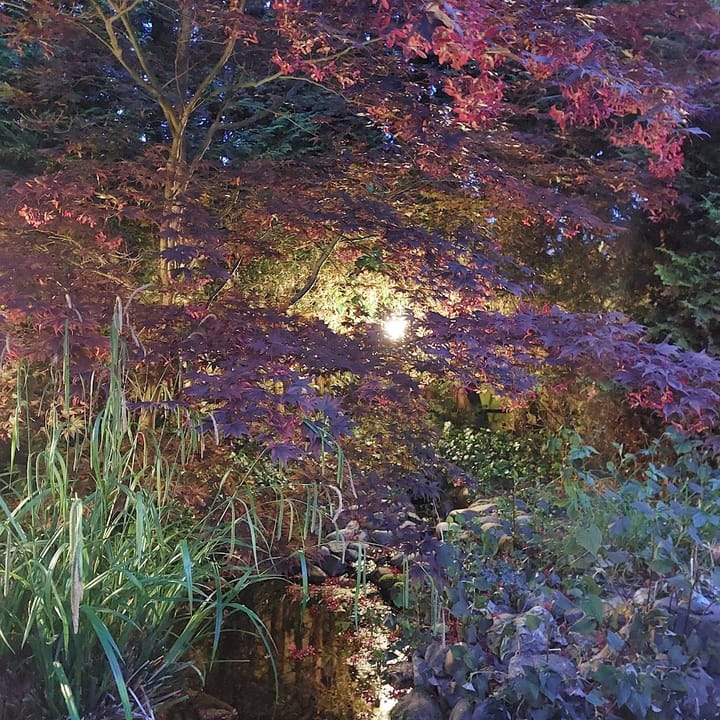 Photo 28 of Glenn Millerhof 36